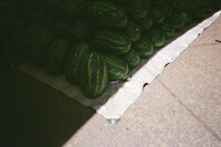 https://eleonorehendricks.com/files/gimgs/th-110_110_watermellons.jpg